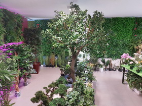 showromm STUDIOGREEN